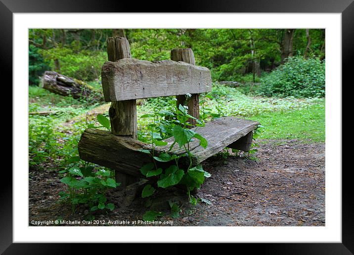 Weedy Bench Framed Mounted Print by Michelle Orai