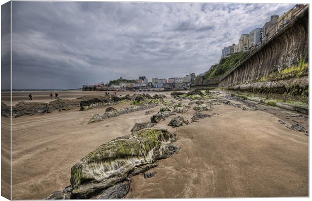 Seaweed and Rocks Tenby Canvas Print by Steve Purnell