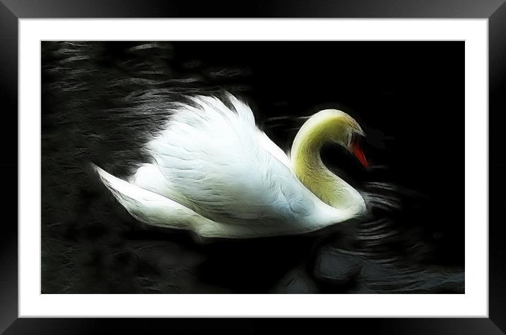 Majestic Framed Mounted Print by Phil Clements