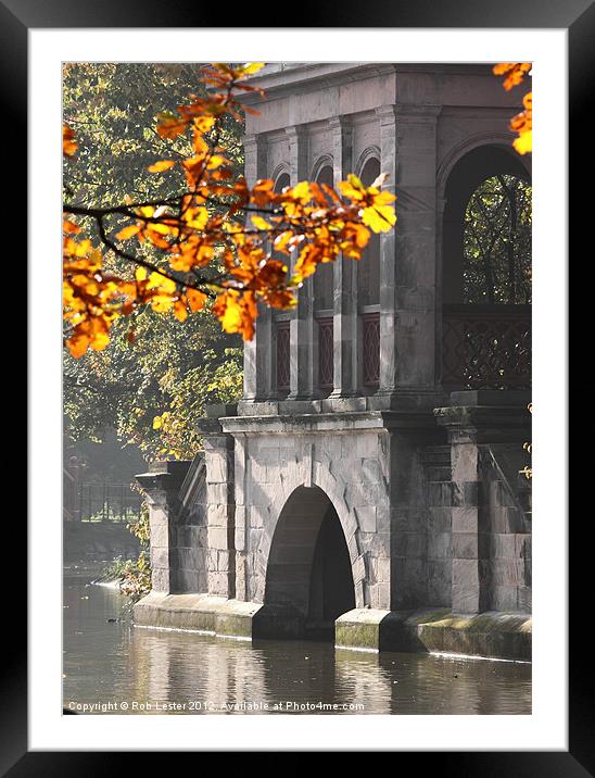 Autumn in the park. Framed Mounted Print by Rob Lester