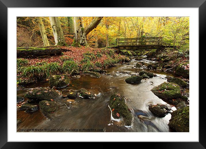 Sneaton Forest, North York Moors Framed Mounted Print by Martin Williams