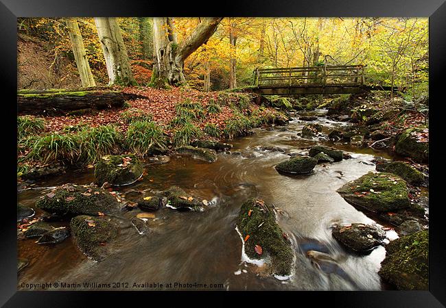 Sneaton Forest, North York Moors Framed Print by Martin Williams