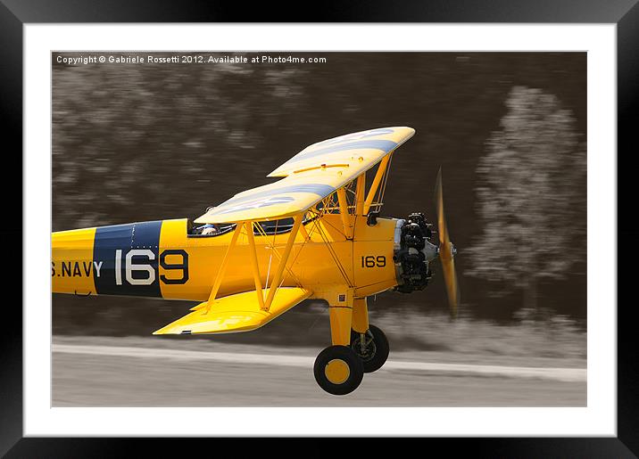 NAVY TRAINER Framed Mounted Print by Gabriele Rossetti