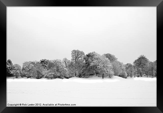 Winter in the park Framed Print by Rob Lester