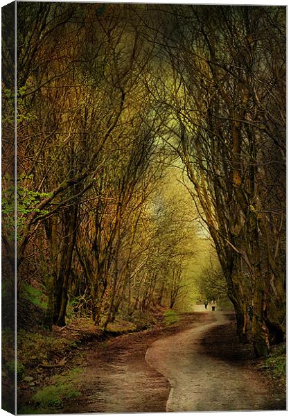 Priestly Clough Canvas Print by Irene Burdell