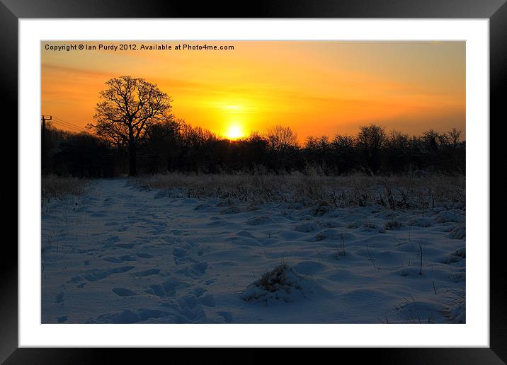 Winter sunrise Framed Mounted Print by Ian Purdy