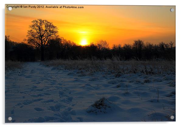 Winter sunrise Acrylic by Ian Purdy