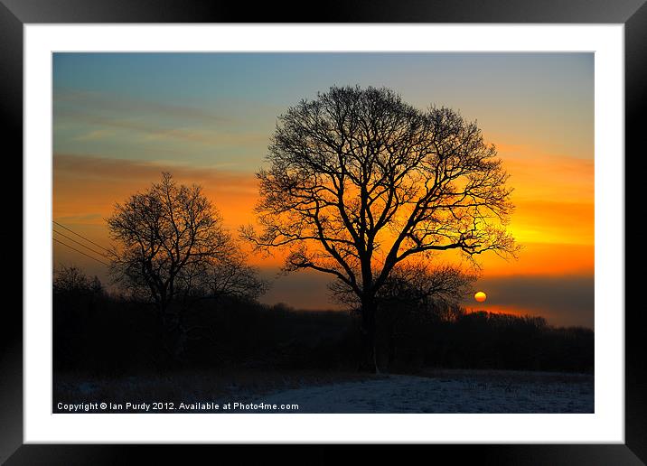 Winter morning Framed Mounted Print by Ian Purdy