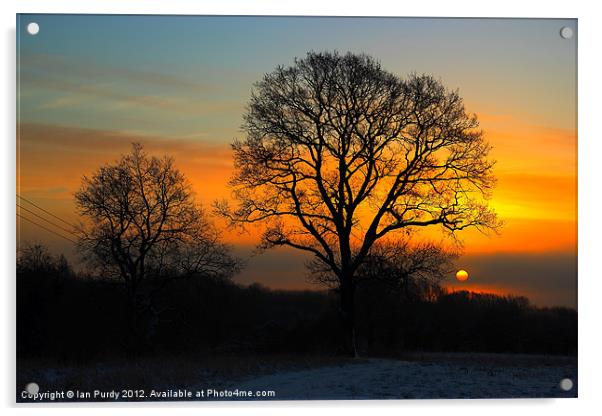 Winter morning Acrylic by Ian Purdy
