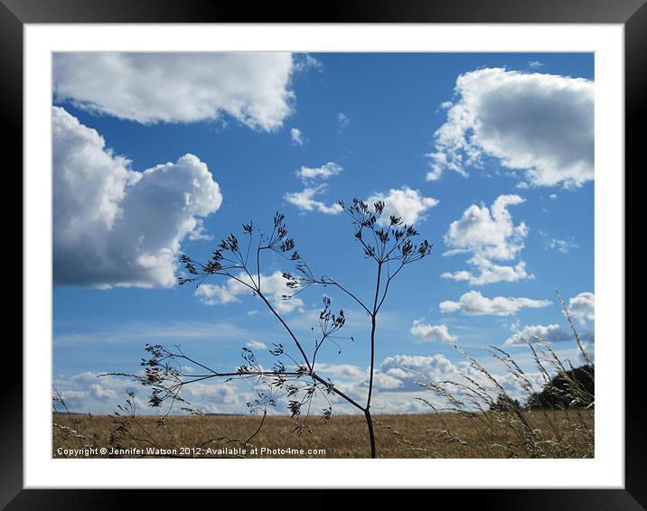 Seeds and Sky Framed Mounted Print by Jennifer Henderson