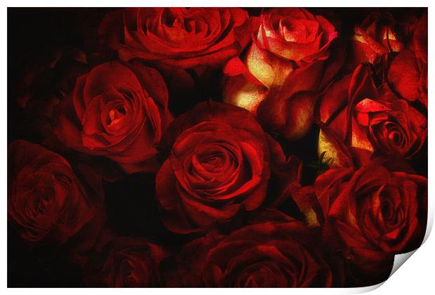 Bed Of Roses Print by Chris Manfield