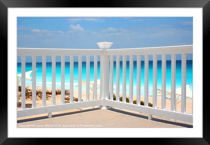 Blue And White Framed Mounted Print by Lynne Morris (Lswpp)