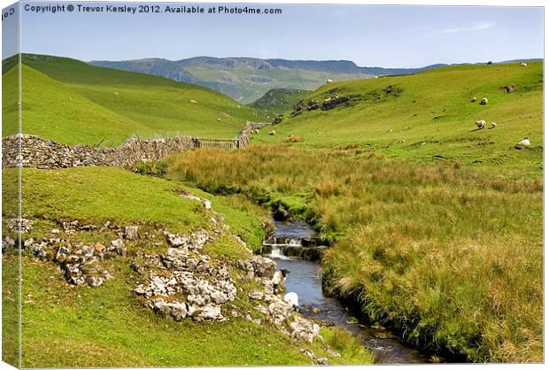 The Dales Canvas Print by Trevor Kersley RIP