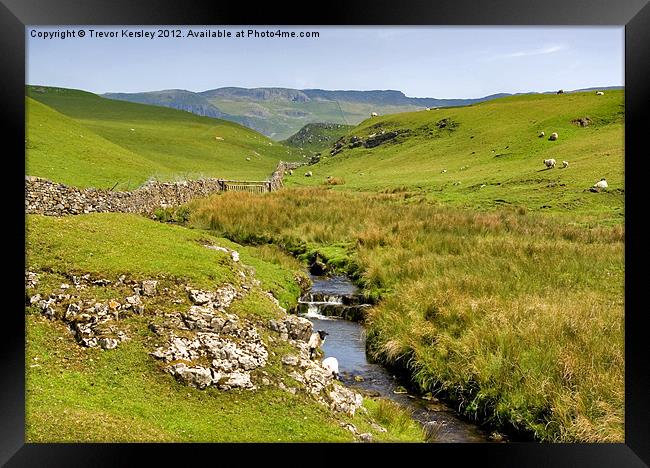 The Dales Framed Print by Trevor Kersley RIP