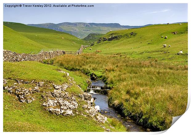 The Dales Print by Trevor Kersley RIP