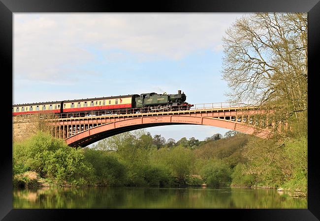 The Severn Valley Railway Framed Print by Danny Thomas