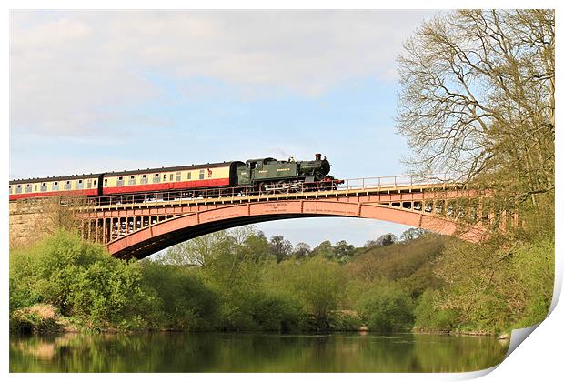 The Severn Valley Railway Print by Danny Thomas