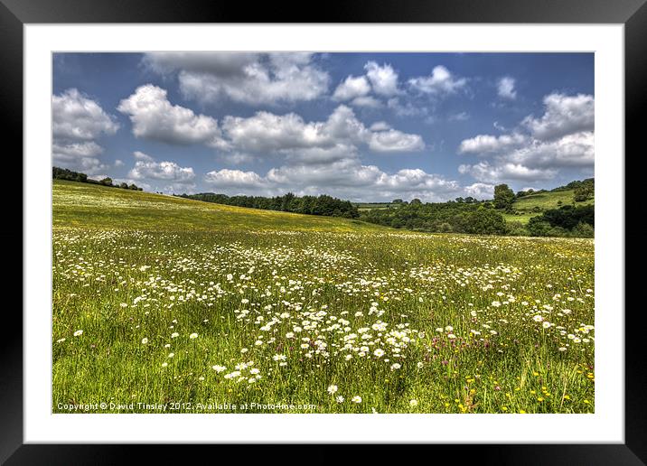 Summer Meadow Framed Mounted Print by David Tinsley