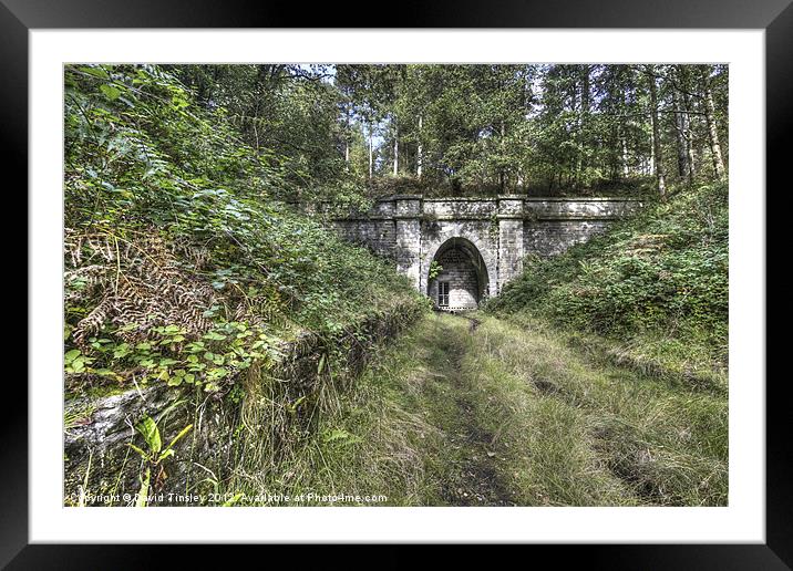 Mierystock Tunnel Framed Mounted Print by David Tinsley