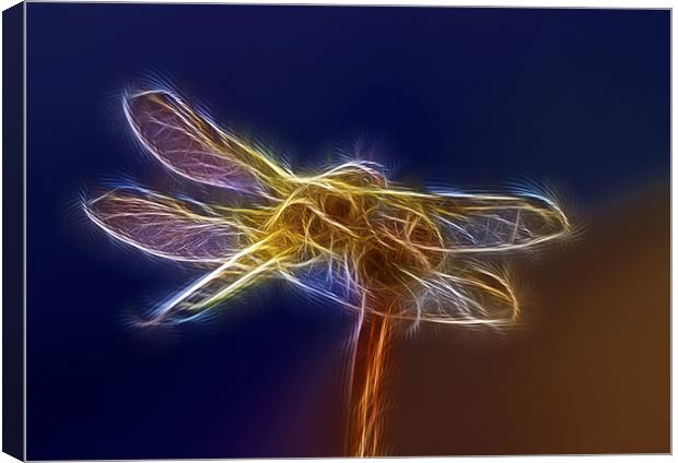 Electric Dragonfly Canvas Print by Mike Gorton
