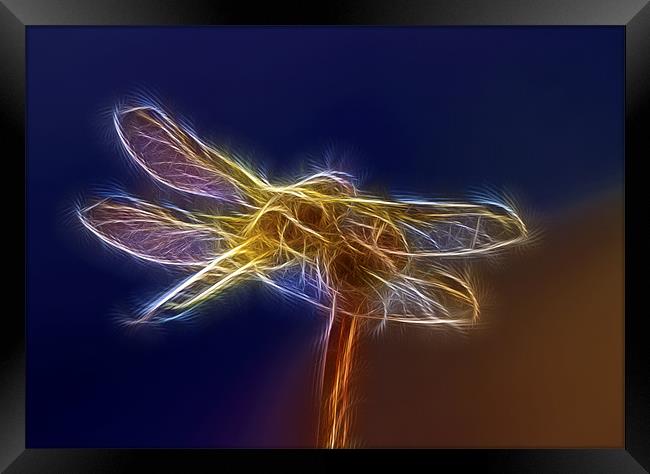 Electric Dragonfly Framed Print by Mike Gorton
