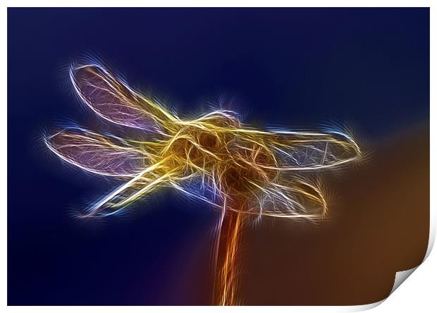 Electric Dragonfly Print by Mike Gorton