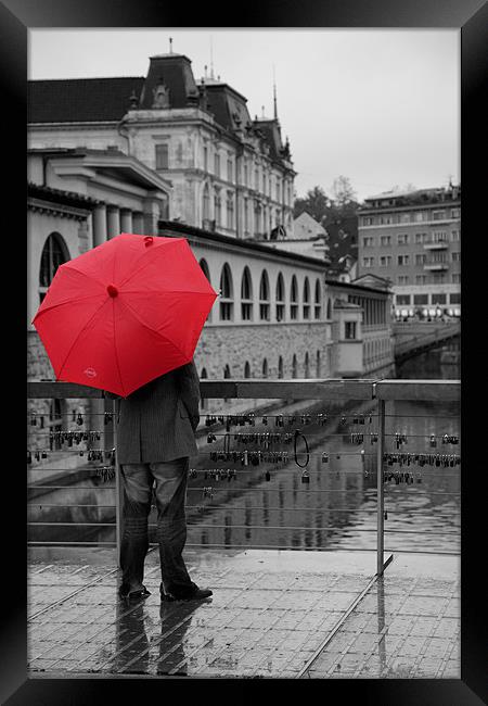 Rainy days in Ljubljana Framed Print by Ian Middleton