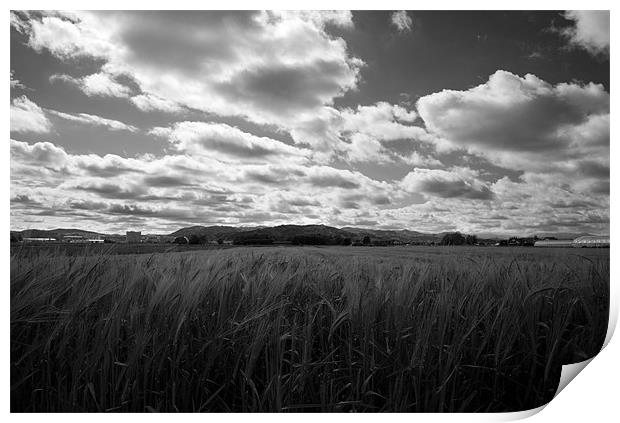 Through the fields after the rain Print by Ian Middleton