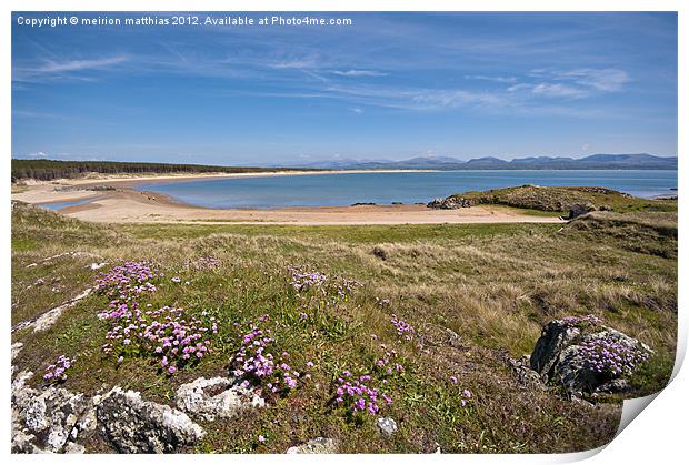 beautiful Newborough beach Print by meirion matthias