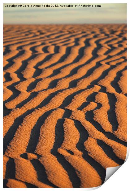 Dune detail after Sunrise Print by Carole-Anne Fooks