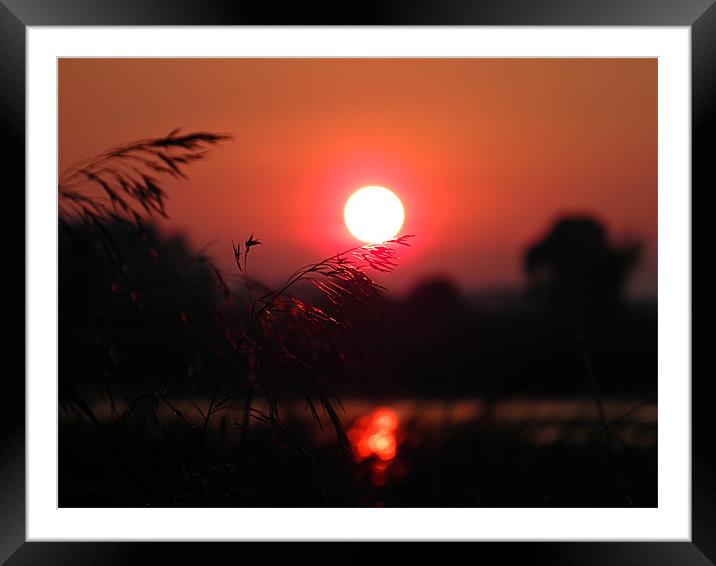 Red Sunset On Grassy Fingers Framed Mounted Print by Gary Barratt