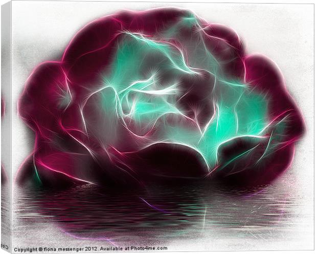 Begonia Canvas Print by Fiona Messenger