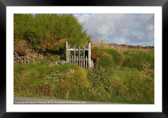 Gate to nowhere Framed Mounted Print by Steven Plowman