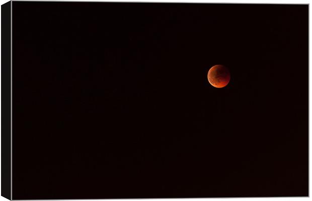 Red Eclipse Moon Canvas Print by Sean Needham