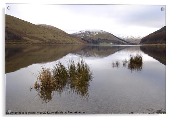 St Mary's Loch Acrylic by Iain McGillivray