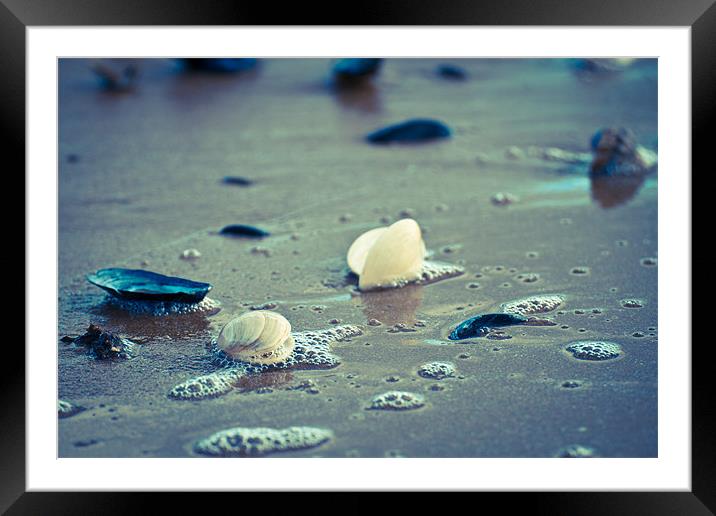 Exmouth Shells in the Sand Framed Mounted Print by David Merrifield