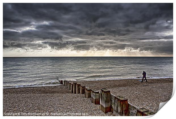 Fishing Brighton shoreline Print by Tony Bramham