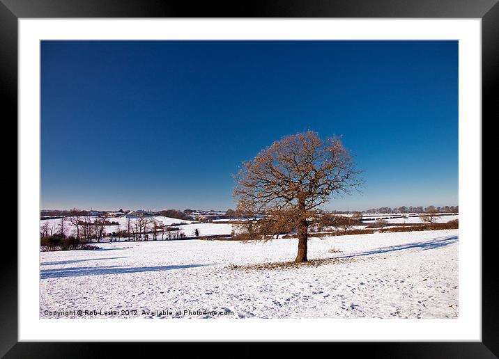 Storeton Winter. Framed Mounted Print by Rob Lester
