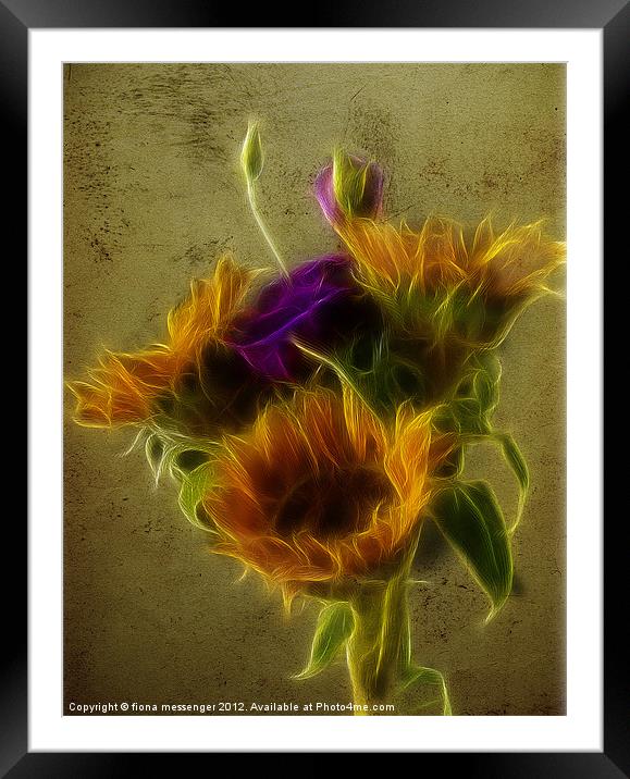 Three Sunflowers and a Lisianthus Framed Mounted Print by Fiona Messenger