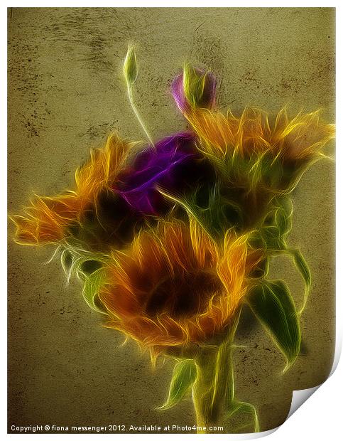 Three Sunflowers and a Lisianthus Print by Fiona Messenger