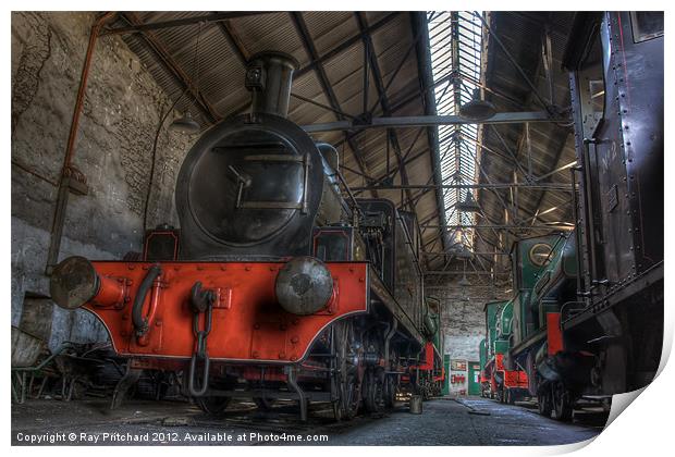 Tanfield Trains Print by Ray Pritchard