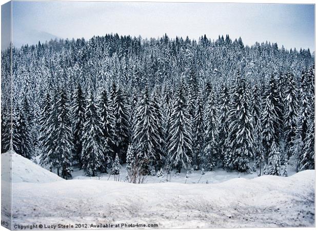Austrian Forest at Christmas Canvas Print by Lucy Steele