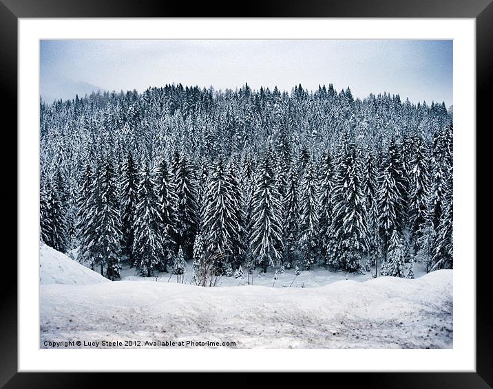 Austrian Forest at Christmas Framed Mounted Print by Lucy Steele