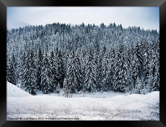 Austrian Forest at Christmas Framed Print by Lucy Steele