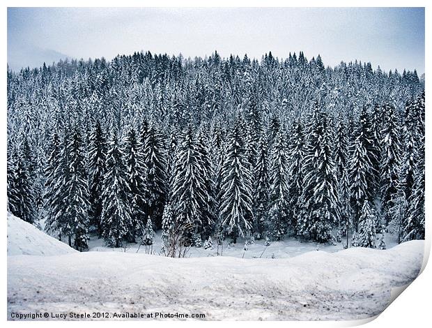 Austrian Forest at Christmas Print by Lucy Steele