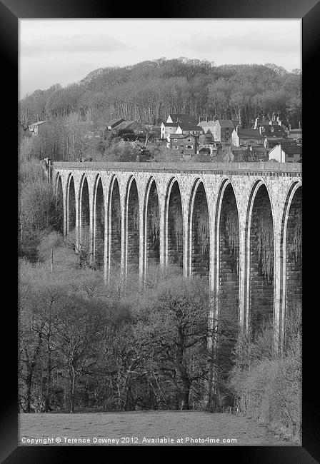 Rail-bridge at Llangollen Framed Print by Terence Downey