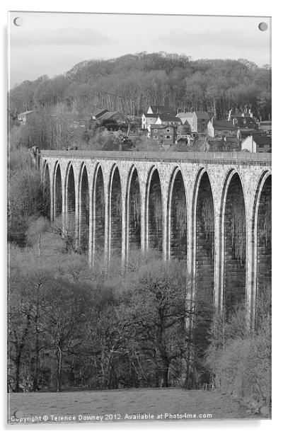 Rail-bridge at Llangollen Acrylic by Terence Downey