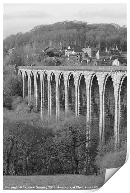 Rail-bridge at Llangollen Print by Terence Downey