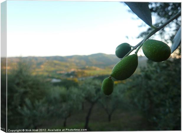 Olives Canvas Print by Nick Hirst