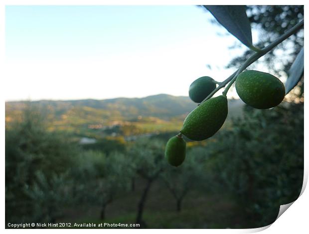 Olives Print by Nick Hirst